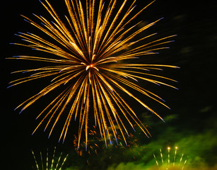 Colorful fireworks in night sky