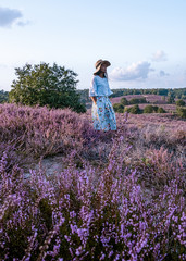 Wall Mural - young girl with dress and hat visiting the blooming Heather field Posbank Veluwezoom in the Netherlands, purpple hills with blooming flowers