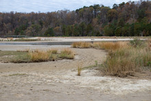 Autumn Low Tide On The Beach At Flag Pond Nature Park In Calvert County Southern Maryland Usa