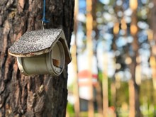 Birdhouse On A Tree In The Park. Bird Feeder Hanging On A Tree. Against The Background Of Green Forest. House For Birds And Squirrels Hanging On A Tree. - Image
