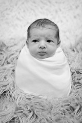 Wall Mural - newborn baby sleeps wrapped in a blanket. concept of childhood, healthcare, IVF. Black and white photo