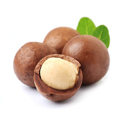 Wall Mural - Macadamia nuts isolated on white backgrounds.