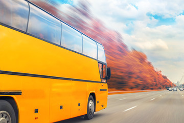 Big luxury comfortable tourist bus driving through golden autumn tree highway on bright sunny day. Blurred motion.Travel and coach tourism concept. road trip and journey by vehicle. Seasonal vacation