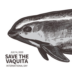 Wall Mural - Color typography design for International day save the vaquita. Poster with hand drawn sketch head Gulf of California harbor porpoise and text hope for vaquita. Protection of wildlife and endangered s