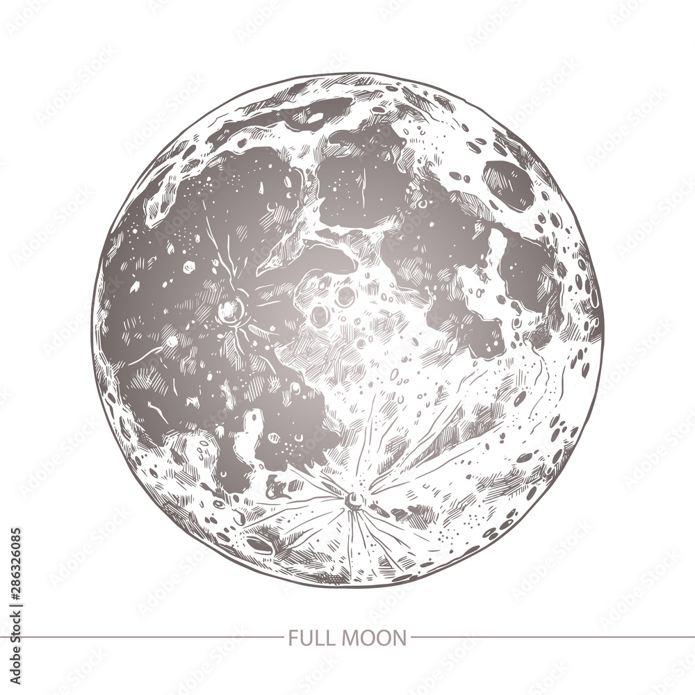 Sketch vector illustration of moon on white background. Hand drawn  engraving style Stock Vector | Adobe Stock, image size:1000x1000