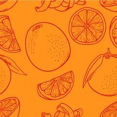 Wall Mural - Vector Seamless Pattern of Sketch Oranges