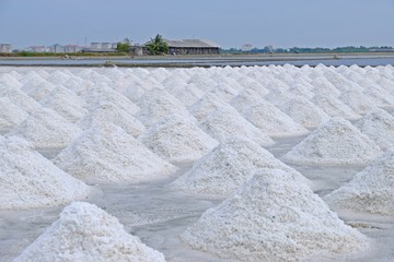 Sea salt piles at sea salt field ready to be picked up and kept in salt barn seeing barn and sky at a far.