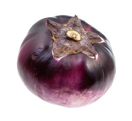 single ripe dark purple aubergine isolated