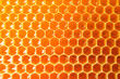 © Atlas - Honeycombs with sweet golden honey on whole background, close up