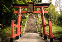Torii Gate In Shito Shrine