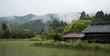 rice fields in Shikoku