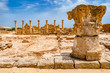 © Grispb - Cyprus. Pathos. Archaeological Park of Paphos. Mediterranean coast.  Cyprian archaeological memorial. Sightseeing Cyprus. Travel to Cyprus. Columns of antique buildings.