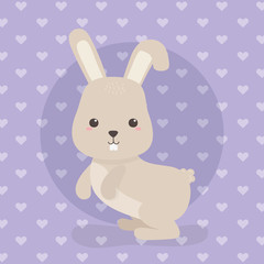 Sticker - cute rabbit animal farm character