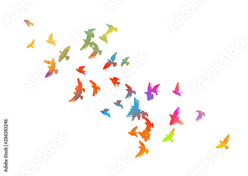 Multi-colored birds. A flock of flying rainbow birds. Vector illustration