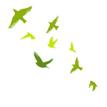 Green Birds. A Flock Of Flying Starlings. Vector Illustration