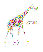 Colorful Giraffe, Sketch For Your Design