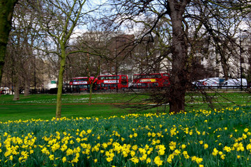 Canvas Print - London