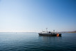 © alexhitrov - Rescue marine vessel during a rescue operation at sea. A motor boat with lifeguards moves by sea.