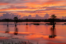 Sunrise At Orlando Wetlands 