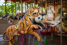 Carousel Animals