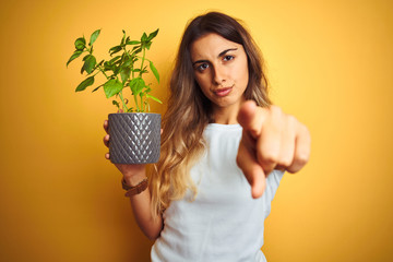 Sticker - Young beautiful woman holding basil pot over yellow isolated background pointing with finger to the camera and to you, hand sign, positive and confident gesture from the front