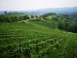 Weinwanderung, Wandern in den Weinbergen