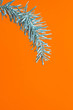 canvas print picture - Evergreen tree branch dripped in blue  paint on bright orange background and copy space new year and christmas concept