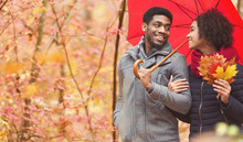 Autumn Date. Loving Couple Walking Under Umbrella