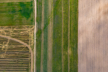 Wall Mural - farm field, view from above