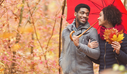 Wall Mural - Autumn date. Loving couple walking under umbrella