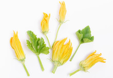 Fresh Green Zucchini Flower And Leaves On White Background.