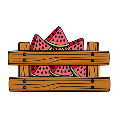 Wall Mural - fresh watermelons fruits in wooden box