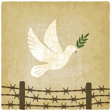 Symbol Peace White Dove Flies Over The Barbed Wire Vintage Background