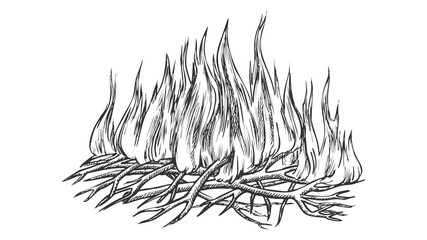 Wall Mural - traditional burning camping fire monochrome vector. tree branch sticks twigs fire campfire. sprouts 