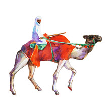 Painting Arabian Man And Camel 