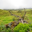 © JT Photos - Açores