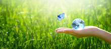 Earth Crystal Glass Globe Ball In Human Hand, Flying Butterfly With Blue Wings, Fresh Juicy Grass Background. Saving Environment, Save Clean Green Planet, Ecology Concept. Card For World Earth Day.