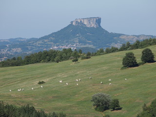 Wall Mural - pascolo con vista sulla pietra di bismantova