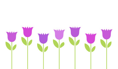 Wall Mural - purple bellflowers flowers background.
