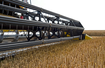 farm implements: closeup of a grain header of a modern combine harvester just before harvesting a co