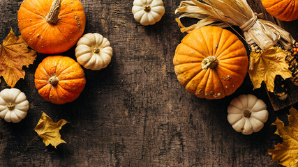 pumpkins and corn and autumn leaves on old shabby background. autumn background with copy space.