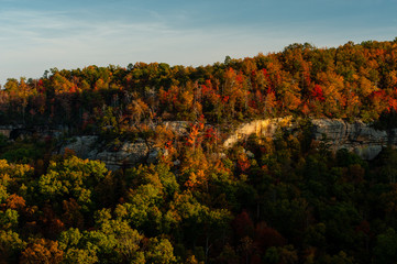 Wall Mural - Red River Gorge Cliffs + Fall / Autumn Color Trees - Daniel Boone National Forest - Kentucky