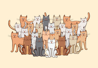 Large group of cats