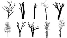 Set Of Trees Silhouette For Brush On White Background
