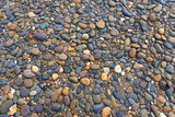 Fototapeta Desenie - stone on the beach
