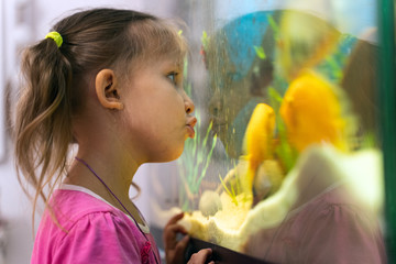 Wall Mural - girl child looks at fish in aquarium