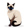 Siamese cat. Cute siam Kitty sitting isolated on white. kawaii vector illustration