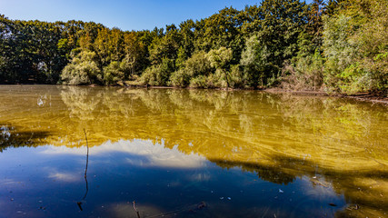 Lake surrounded by trees with an impressive mirror lake, amazing and peaceful summer day in the Netherlands, holland, wonderful combination of color and texture