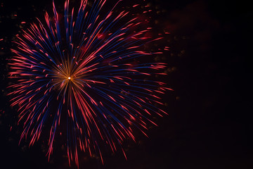 Colorful fireworks in night sky