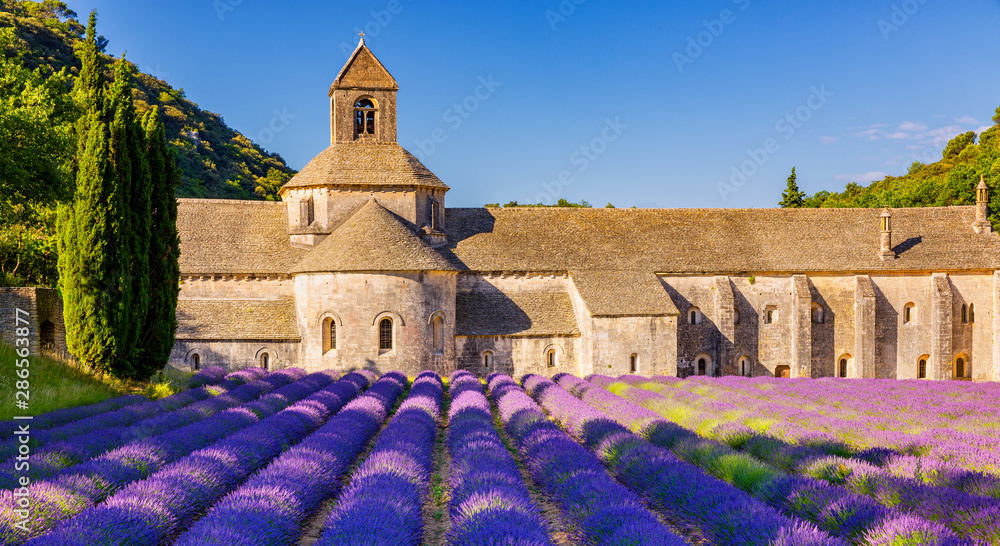 The Romanesque Cistercian Abbey of Notre Dame of Senanque set amongst flowering lavender fields, near Gordes, Provence, France - obrazy, fototapety, plakaty 